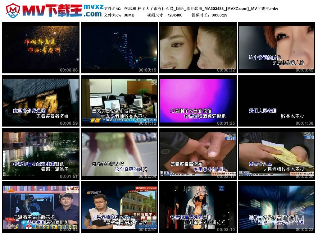 李志洲-林子大了都有什么鸟_国语_流行歌曲_MA303488